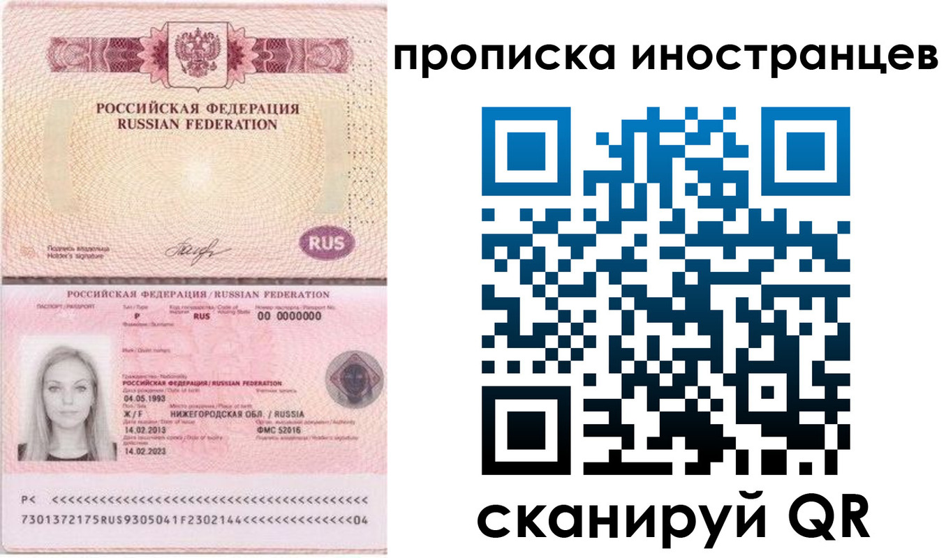 прописка поиск в Курске